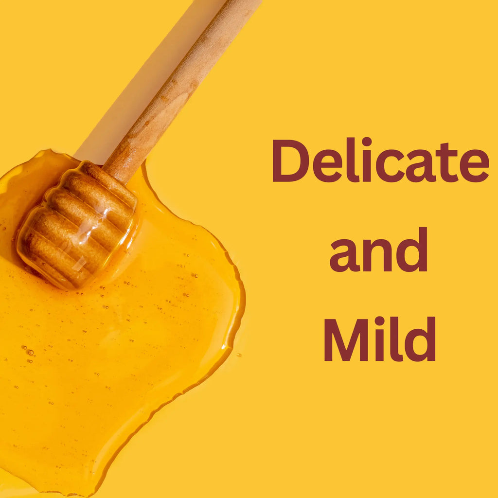 Arvoli Honey Lavender Infused Honey Bottles - 12 bottles x 8 oz by Farm2Me FARM2ME