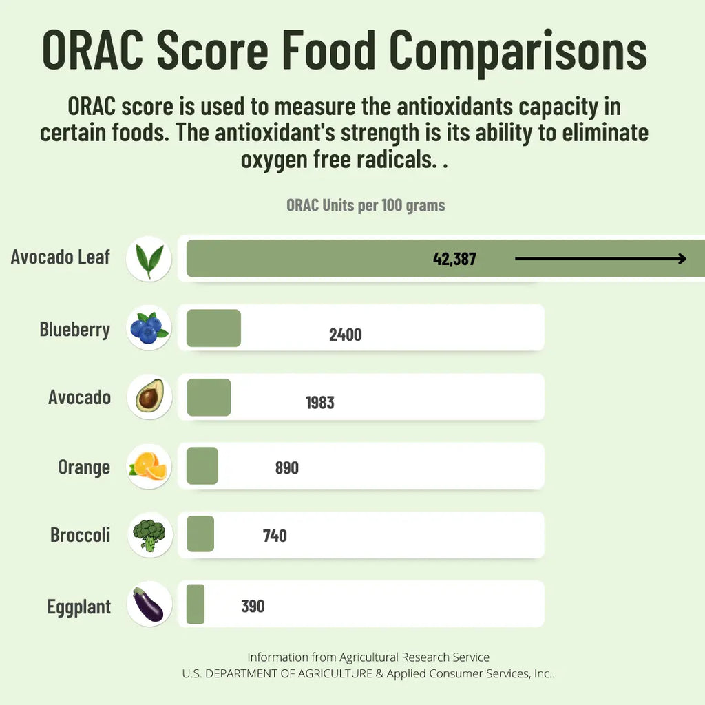 Avocado Leaf Tea Black Tea Blend by Avocado Tea Co. AVOCADO TEA CO.
