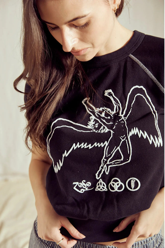 Led Zeppelin Short Sleeve Icarus Raglan by People of Leisure People of Leisure