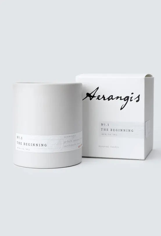 No. 1 The Beginning by Aerangis AERANGIS