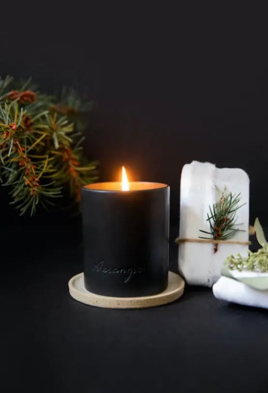 No. 102 Silver Skyline by Aerangis AERANGIS