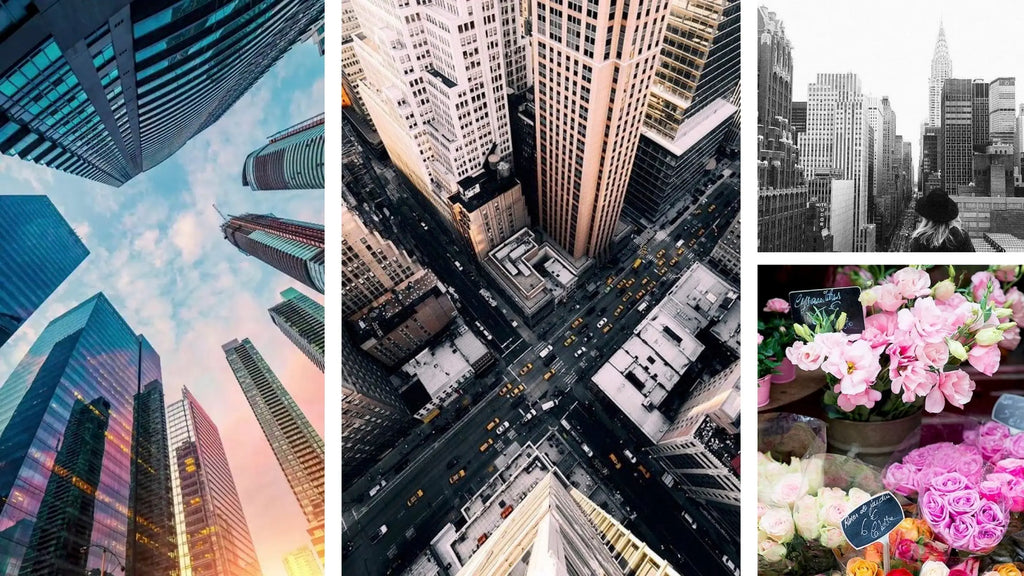 No. 212 Concrete Jungle by Aerangis AERANGIS