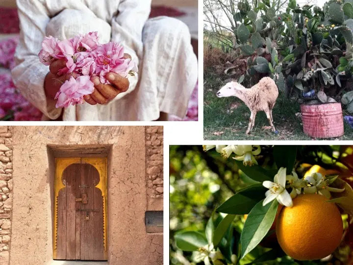 No. 26 Lost in the Souk by Aerangis AERANGIS