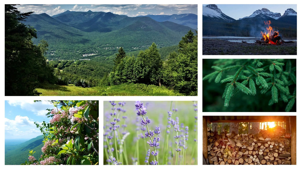 No. 32 Loon Mountain by Aerangis AERANGIS