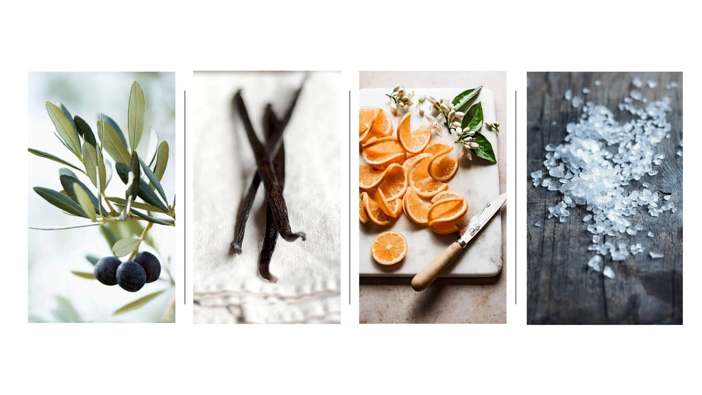 No. 4 Limani by Kastra Elion by Aerangis AERANGIS