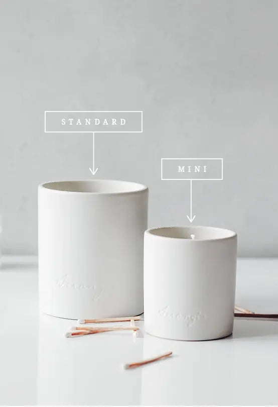 No. 51 Secret Garden by Aerangis AERANGIS