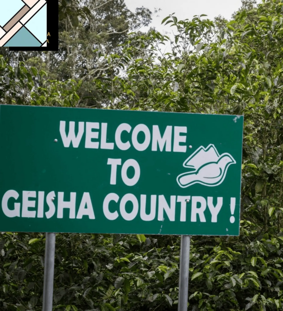 Panama Gesha Lot 290 by Bean & Bean Coffee Roasters BEAN & BEAN COFFEE ROASTERS