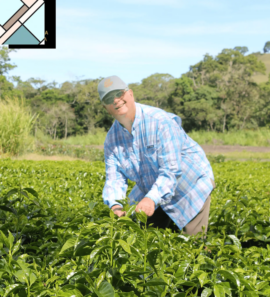 Panama Gesha Lot 290 by Bean & Bean Coffee Roasters BEAN & BEAN COFFEE ROASTERS