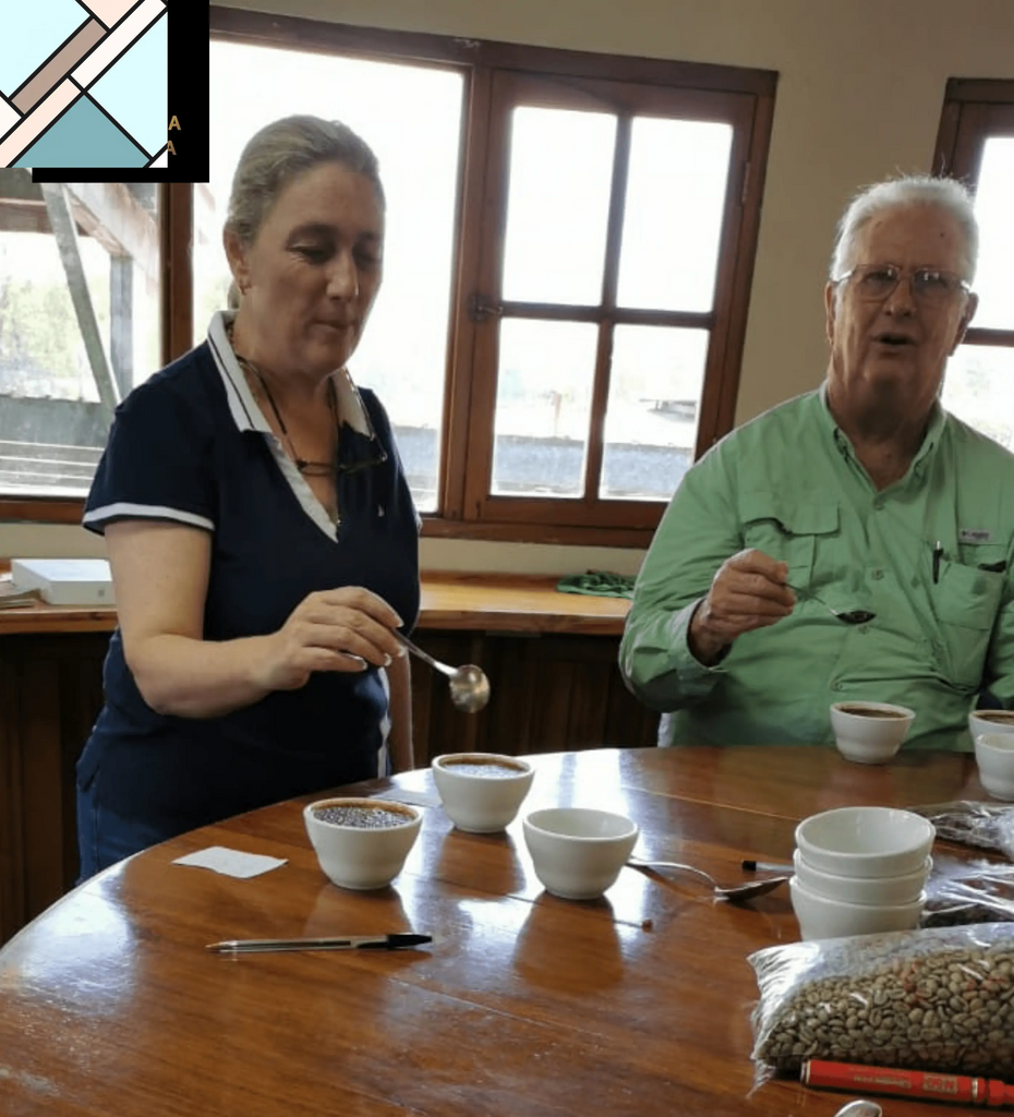 Panama Gesha Lot 290 by Bean & Bean Coffee Roasters BEAN & BEAN COFFEE ROASTERS