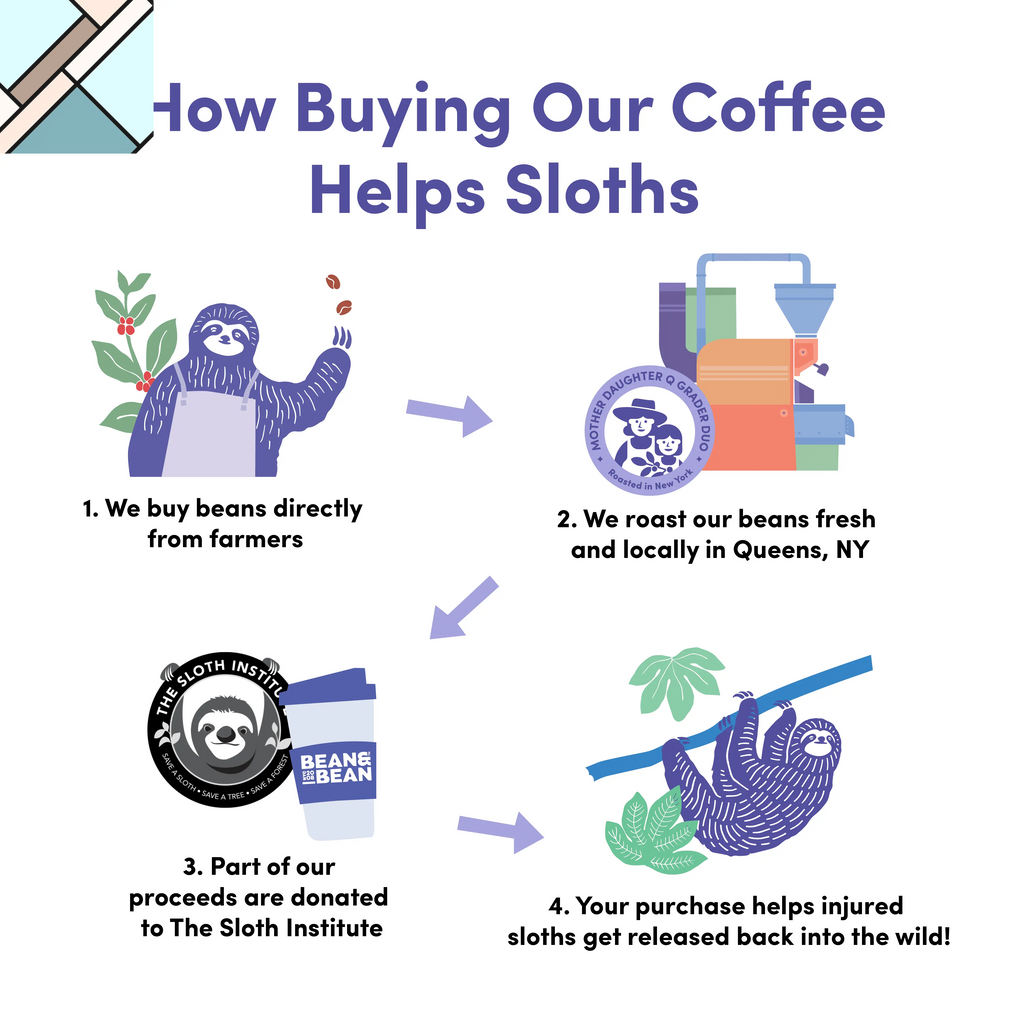 Panama Gesha Lot 290 by Bean & Bean Coffee Roasters BEAN & BEAN COFFEE ROASTERS