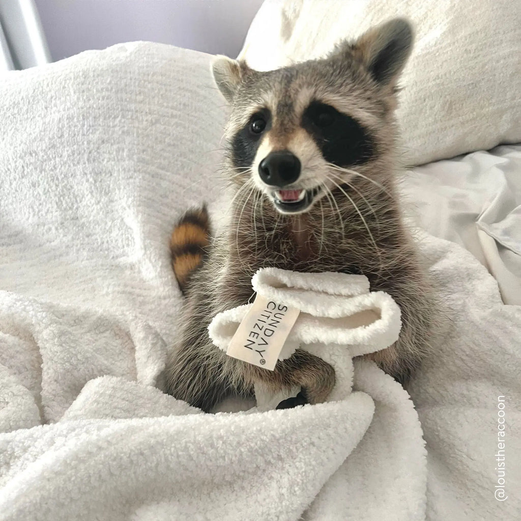 Snug Throw by Sunday Citizen Sunday Citizen