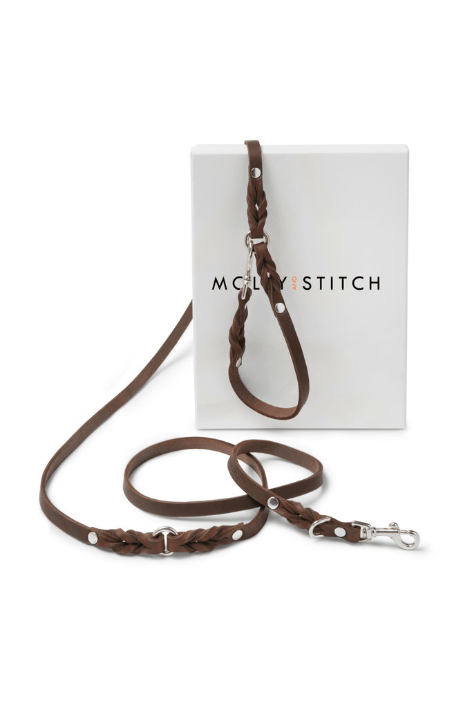 Butter Leather 3x Adjustable Dog Leash - Classic Brown by Molly And Stitch US - Ladiesse