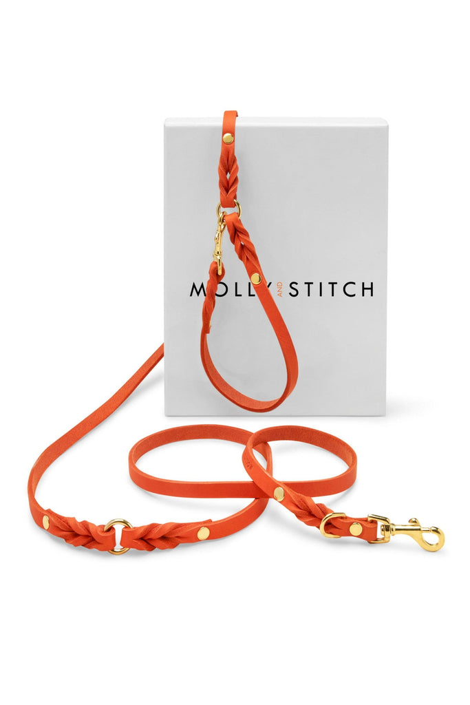 Butter Leather 3x Adjustable Dog Leash - Mango by Molly And Stitch US - Ladiesse
