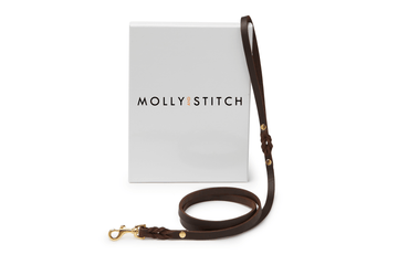 Butter Leather City Dog Leash - Classic Brown by Molly And Stitch US - Ladiesse