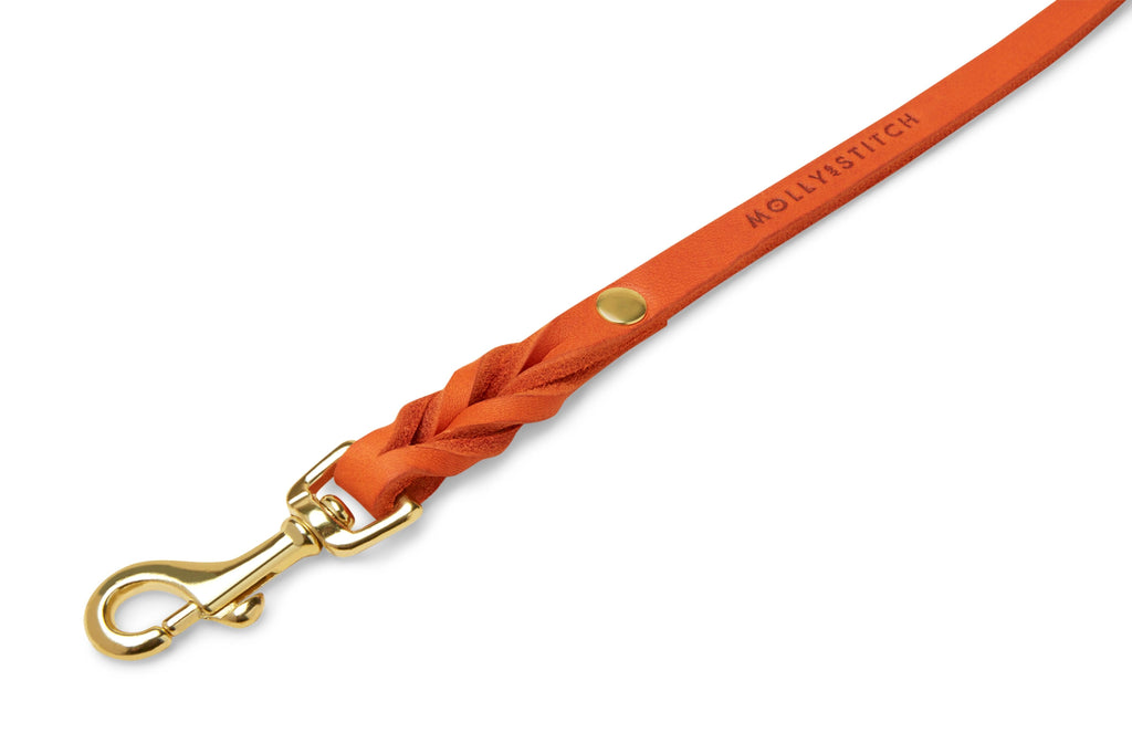 Butter Leather City Dog Leash - Mango by Molly And Stitch US - Ladiesse