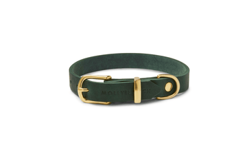 Butter Leather Dog Collar - Forest Green by Molly And Stitch US - Ladiesse
