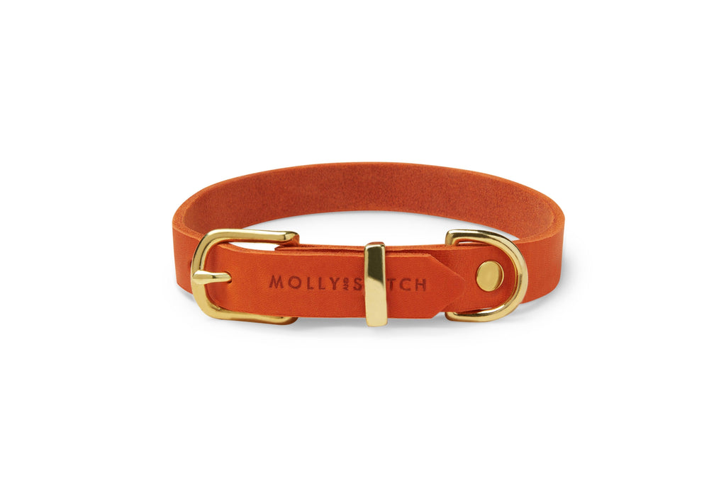 Butter Leather Dog Collar - Mango by Molly And Stitch US - Ladiesse