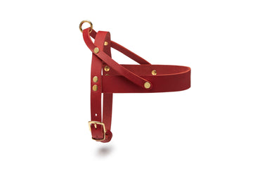 Butter Leather Dog Harness - Chili Red by Molly And Stitch US - Ladiesse