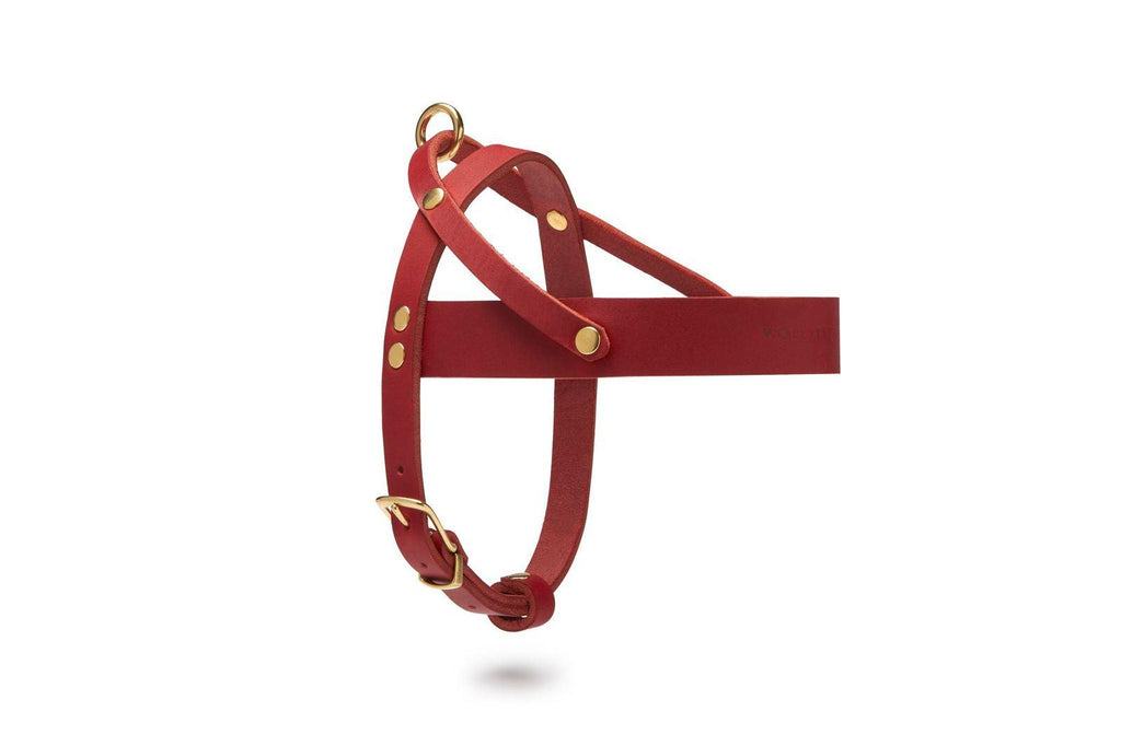 Butter Leather Dog Harness - Chili Red by Molly And Stitch US - Ladiesse