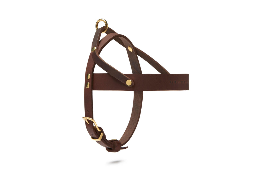 Butter Leather Dog Harness - Classic Brown by Molly And Stitch US - Ladiesse