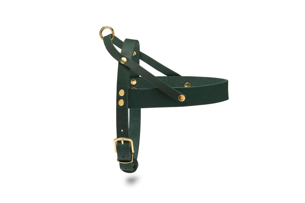 Butter Leather Dog Harness - Forest Green by Molly And Stitch US - Ladiesse