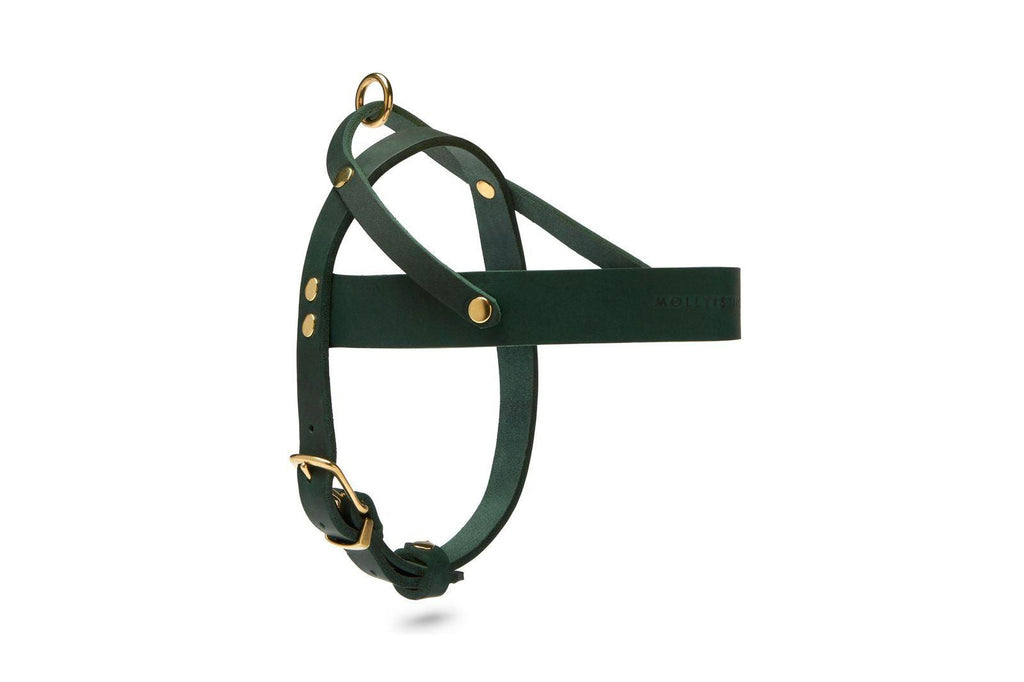 Butter Leather Dog Harness - Forest Green by Molly And Stitch US - Ladiesse