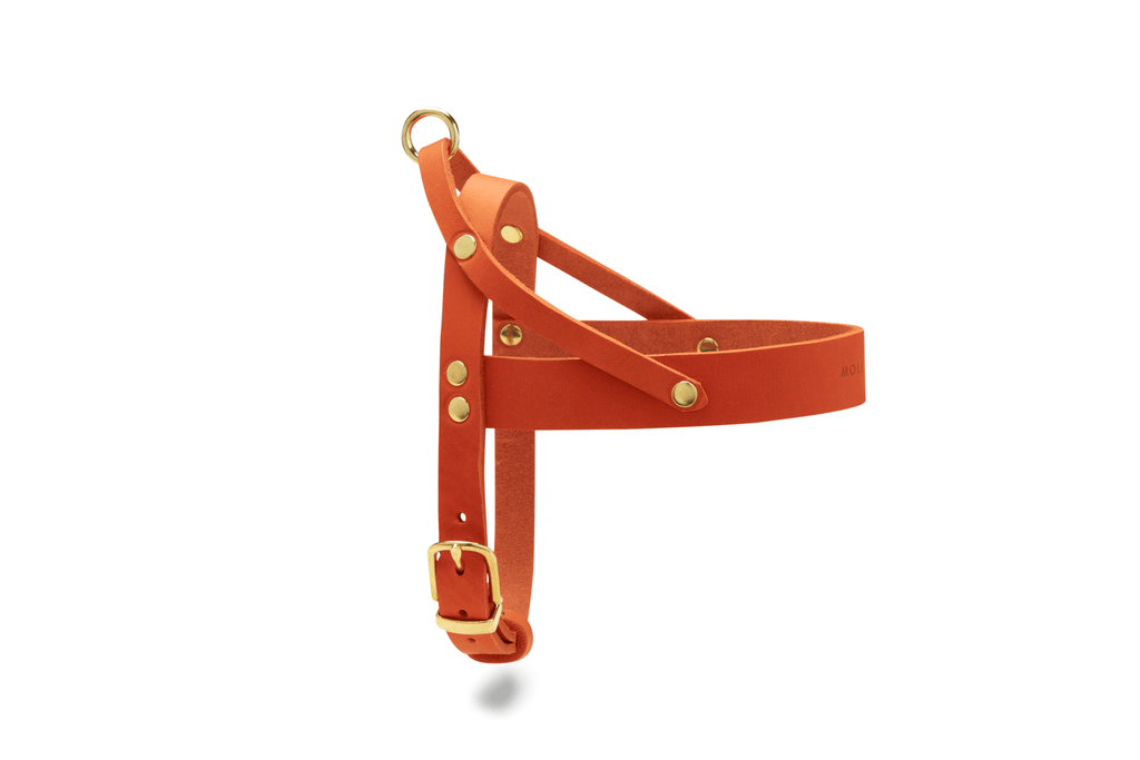 Butter Leather Dog Harness - Mango by Molly And Stitch US - Ladiesse