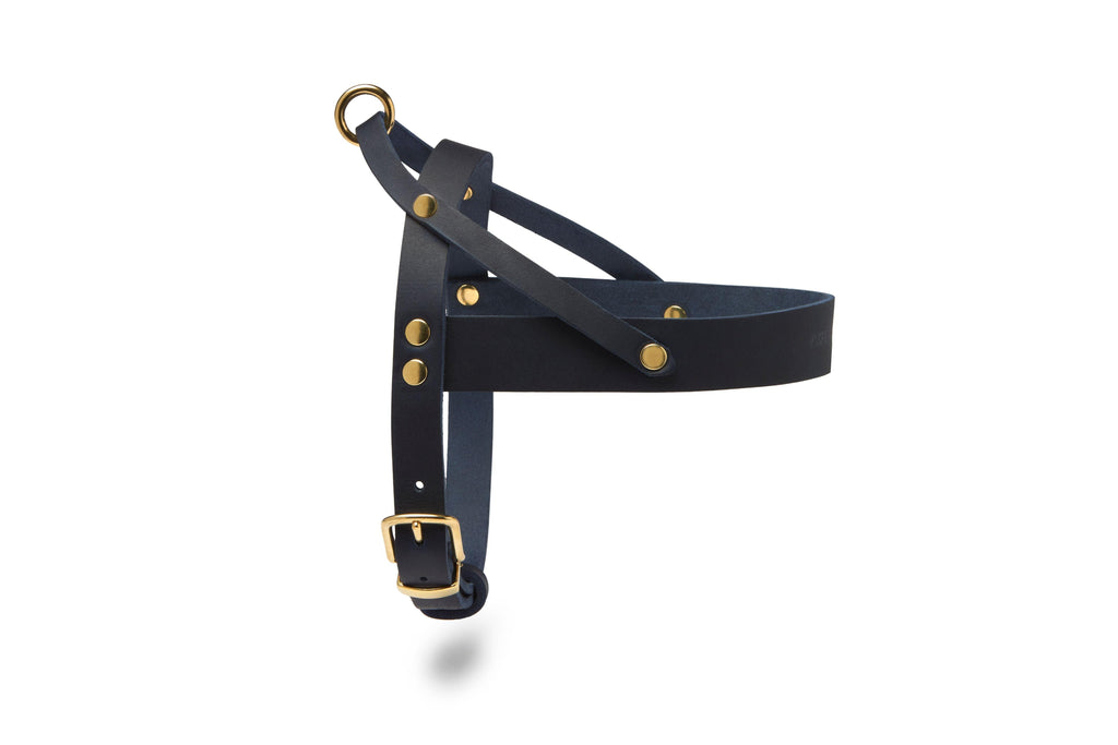 Butter Leather Dog Harness - Navy Blue by Molly And Stitch US - Ladiesse