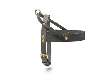 Butter Leather Dog Harness - Timeless Grey by Molly And Stitch US - Ladiesse