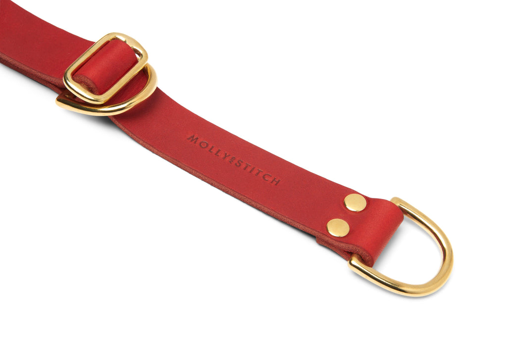 Butter Leather Retriever Dog Collar - Chili Red by Molly And Stitch US - Ladiesse