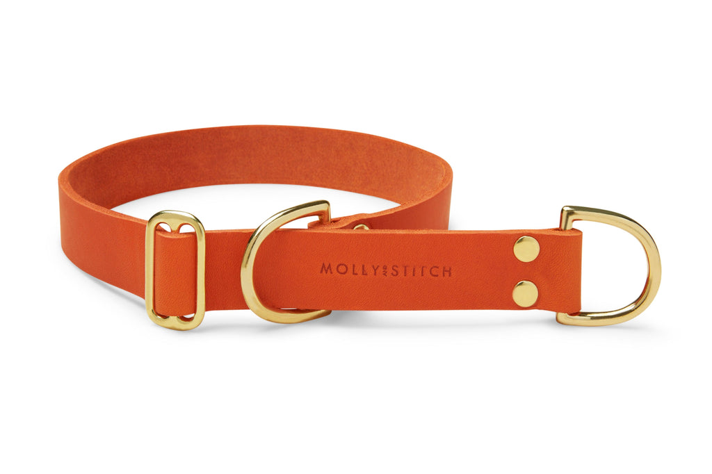Butter Leather Retriever Dog Collar - Mango by Molly And Stitch US - Ladiesse