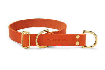 Butter Leather Retriever Dog Collar - Mango by Molly And Stitch US - Ladiesse