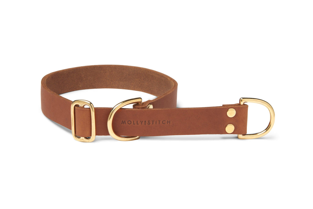 Butter Leather Retriever Dog Collar - Sahara Cognac by Molly And Stitch US - Ladiesse