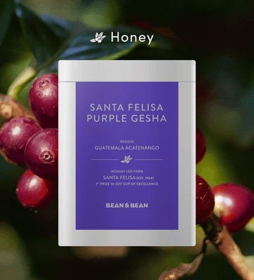 Santa Felisa Gesha Honey by Bean & Bean Coffee Roasters - Ladiesse