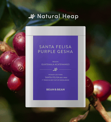 Santa Felisa Gesha Natural Heap by Bean & Bean Coffee Roasters - Ladiesse