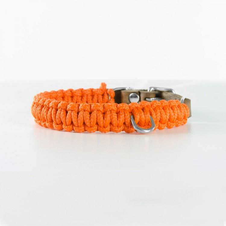 Touch of Leather Dog Collar - Pumpkin by Molly And Stitch US - Ladiesse