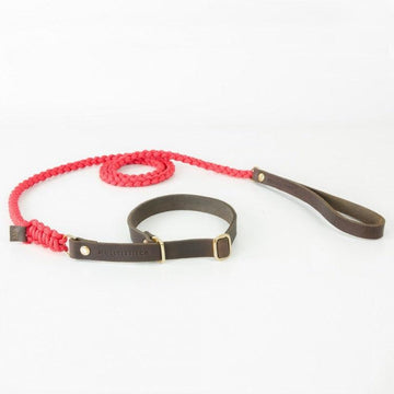 Touch of Leather Retriever Dog Leash - Lipstick by Molly And Stitch US - Ladiesse