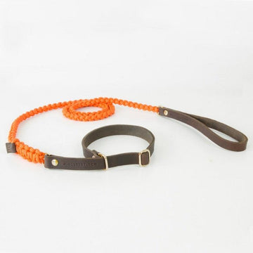 Touch of Leather Retriever Dog Leash - Pumpkin by Molly And Stitch US - Ladiesse